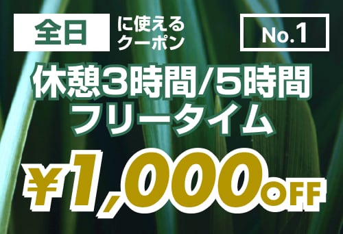 【No.1】全日 休憩3時間/5時間/フリータイム ¥1,000OFF