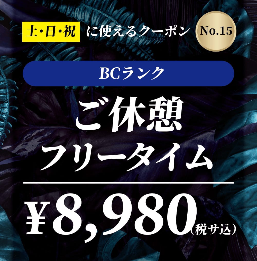 【No.15】土・日・祝 BCランク ご休憩フリータイム ￥8,980