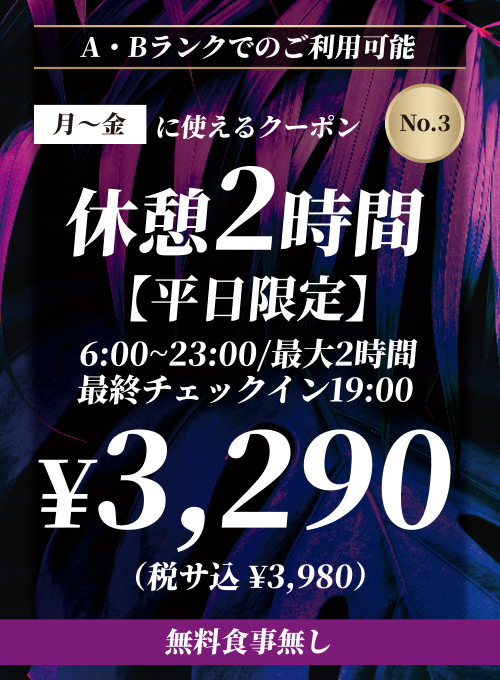 【No.3】A・Bタイプ 月〜金 休憩2時間 ¥3,980
