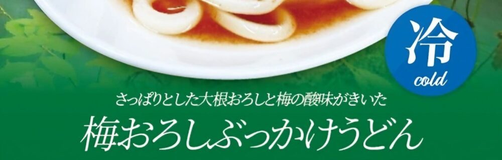 奈良 ラブホテル フシギノクニの梅おろしぶっかけうどん