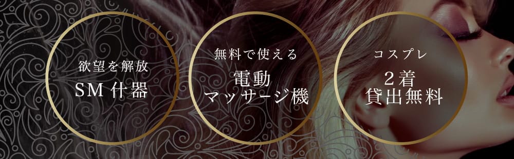 茨木 ラブホテル ダブルイン WinのSM・電動マッサージ・コスプレ